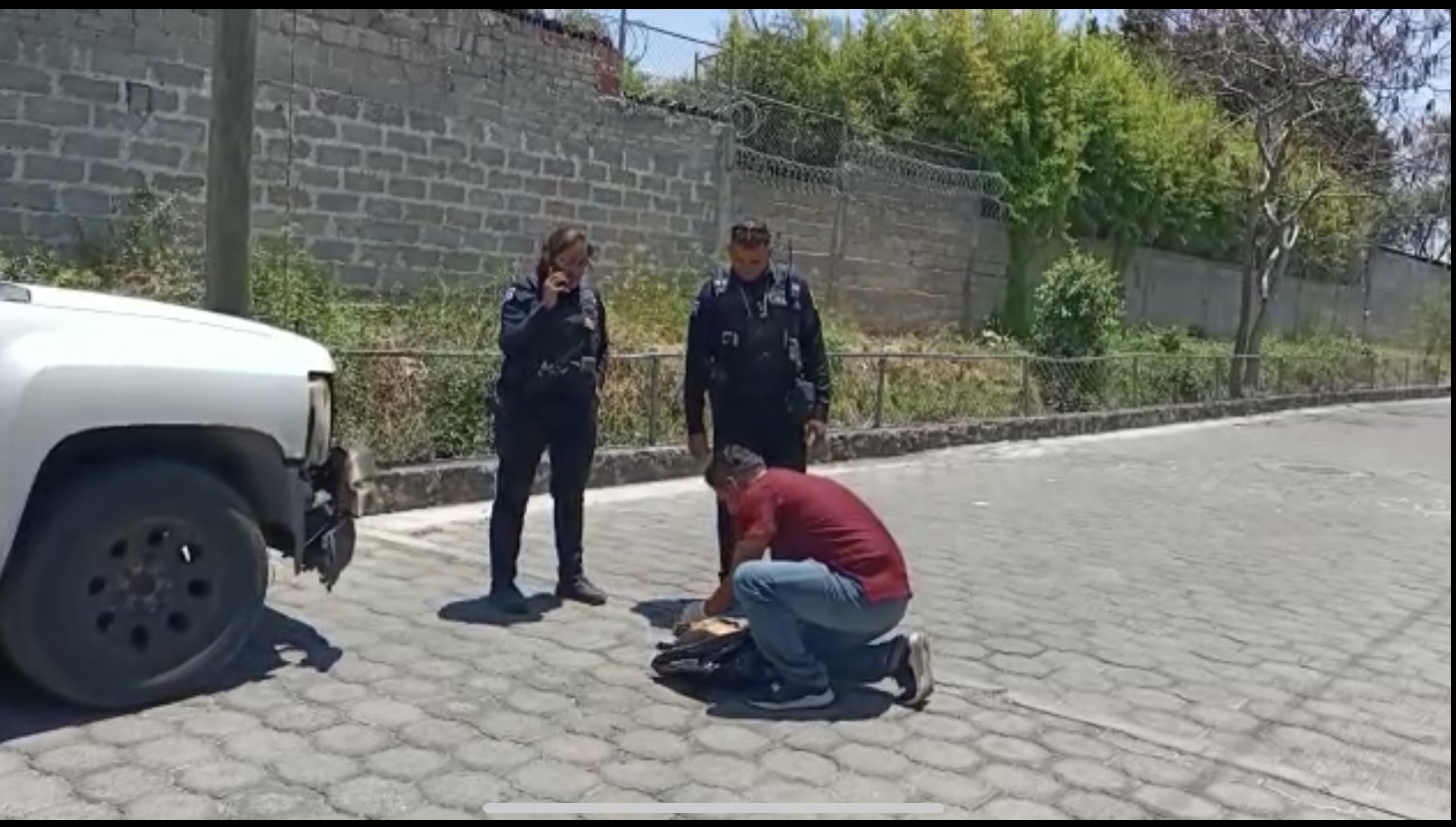 VIDEO Consternación en Atlixco por muerte de mascota tras defender a su dueña