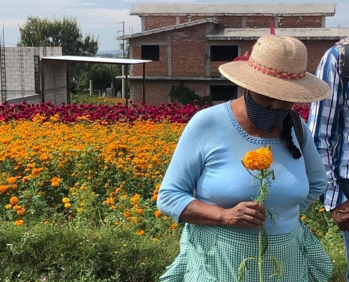 Productores alistan siembra de cempasúchil en Atlixco