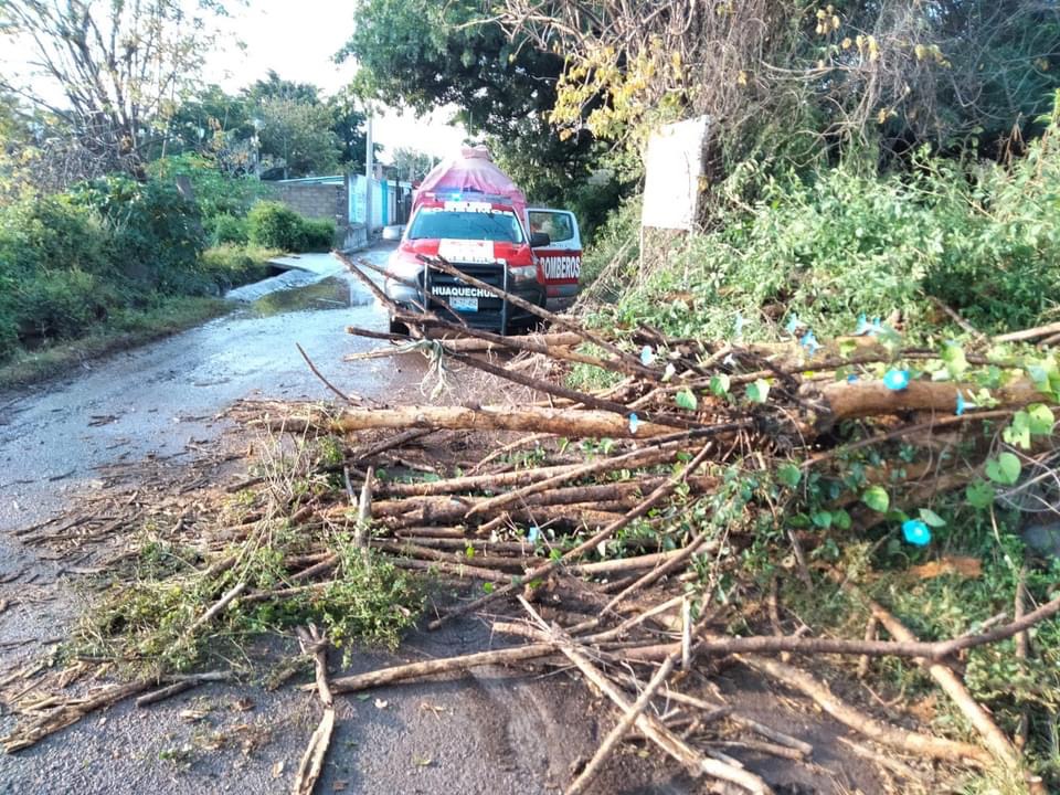 Fuerte lluvia deja árboles derrumbados en Huaquechula 