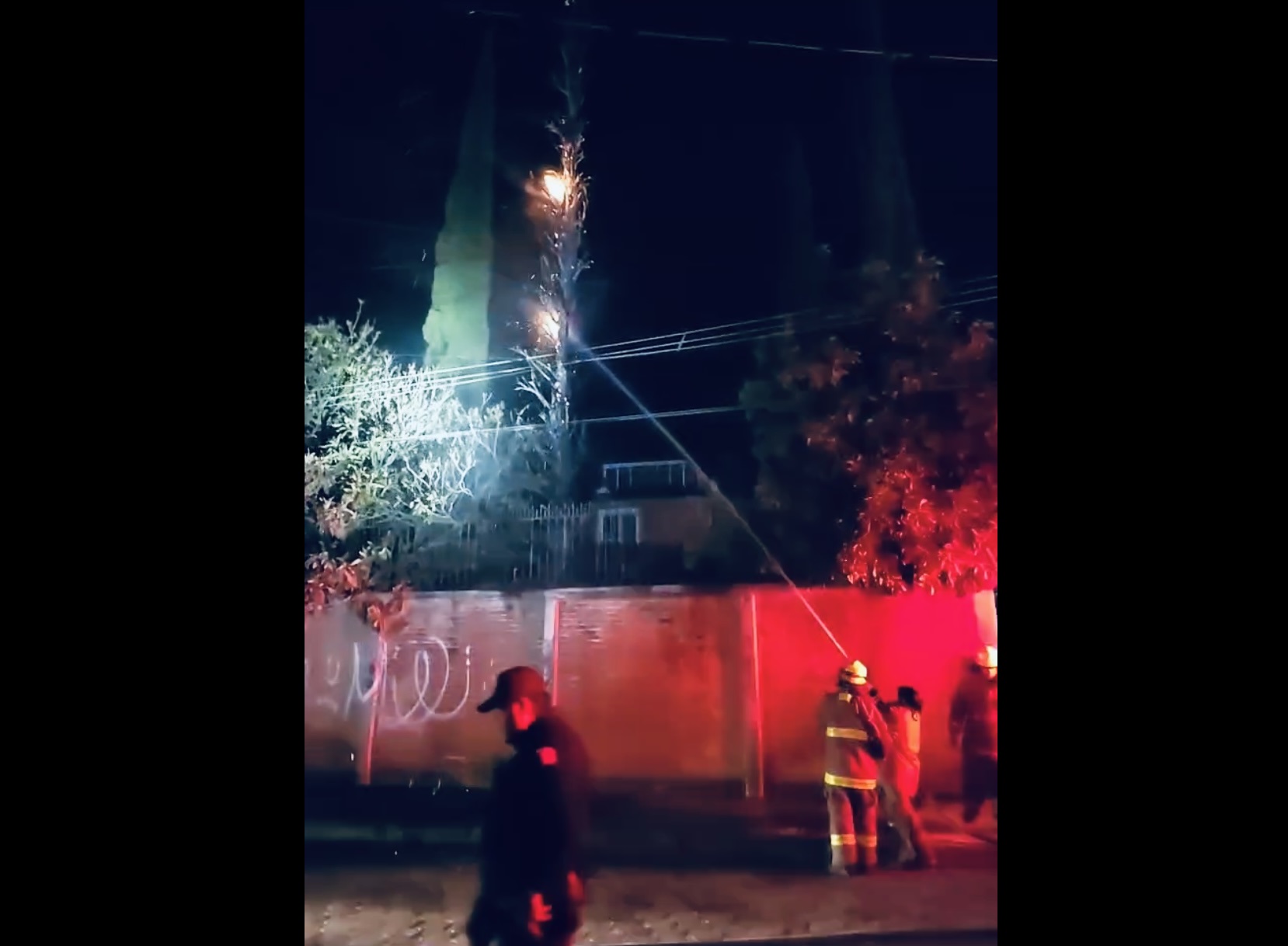 En Atlixco vecinos y bomberos sofocan aparatoso incendio de árboles