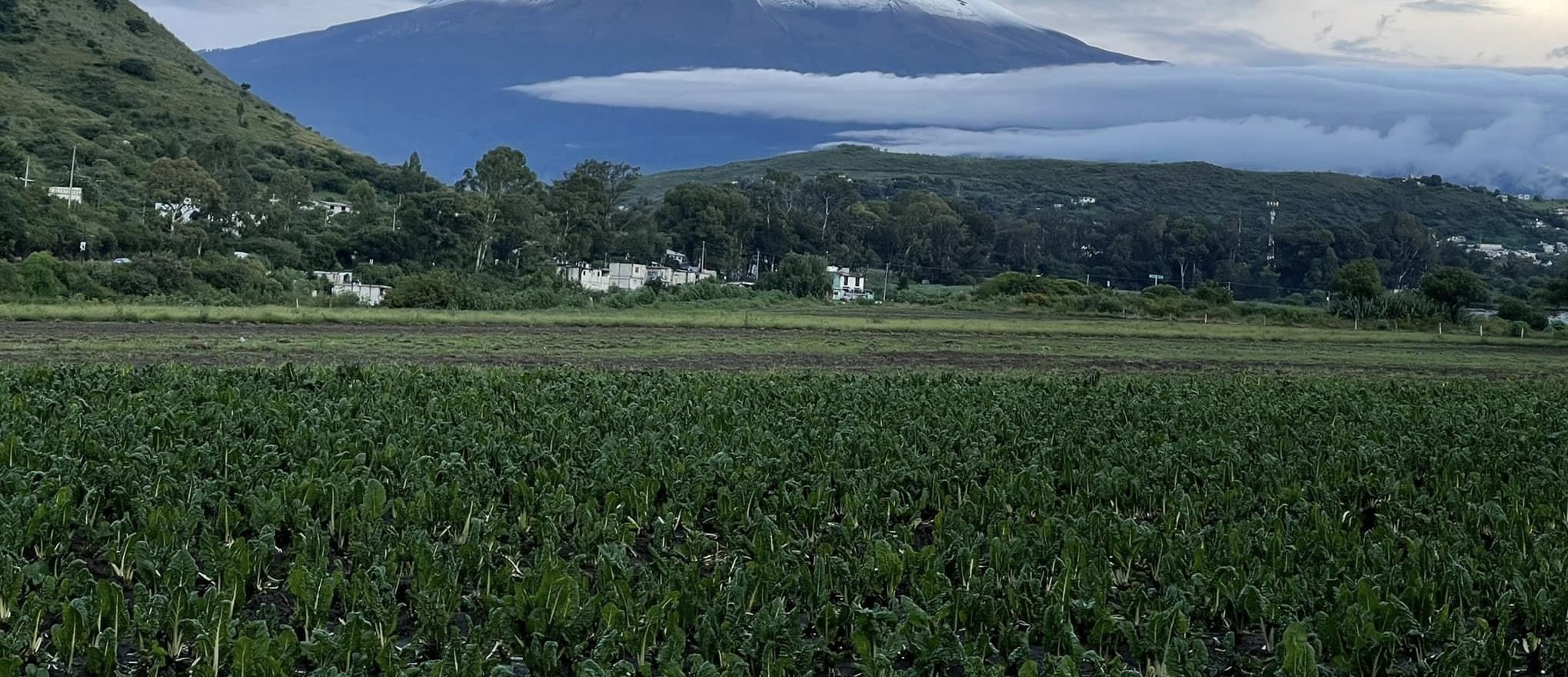 Se registra pleito entre vecinos y dueños de predio en Villas El León, Atlixco