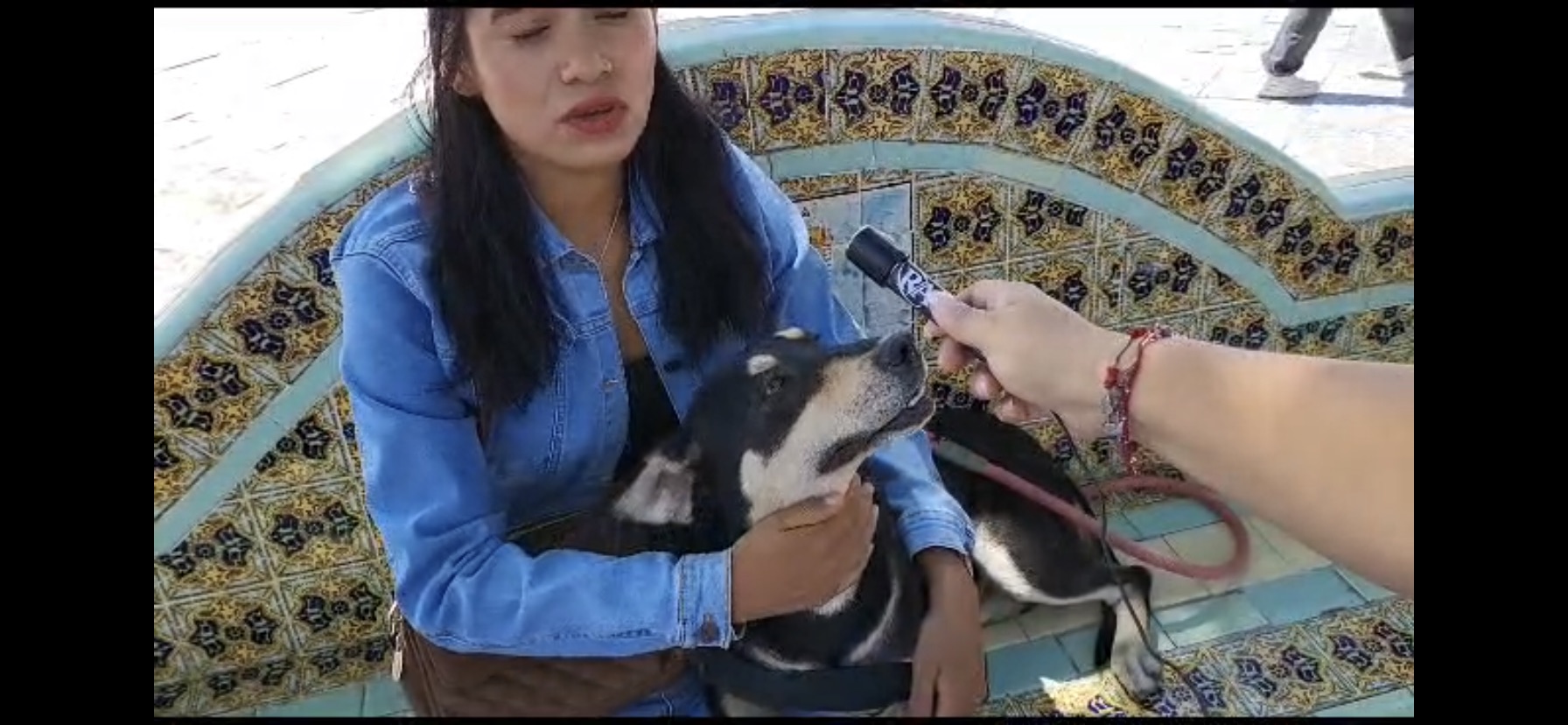 Dueña de Muñeca, la perrita víctima de zoofilia en Atlixco, teme tras lo ocurrido