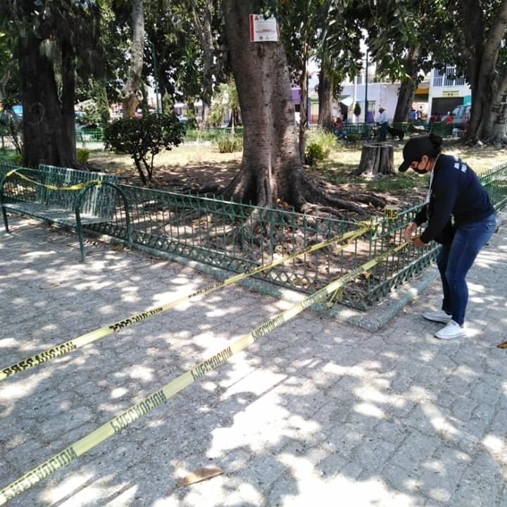 Tianguistas en Atlixco no respetan cerco en parque La Rotonda