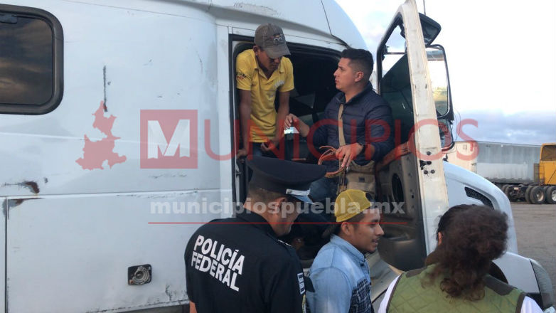 Hallan 22 ilegales en camarote de tráiler, en la Puebla-Orizaba