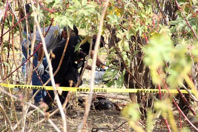 Campesino descubre cadáver en Coronango mientras labraba su tierra