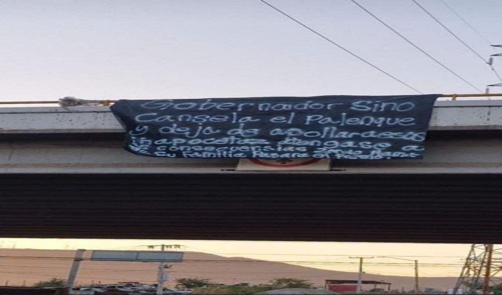 Inseguridad provoca cancelación de la Feria Ganadera en Sinaloa