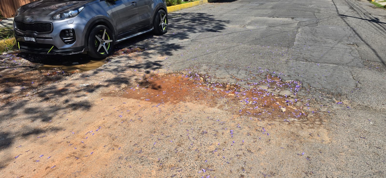 Vecinos denuncian múltiples baches en Prados Agua Azul