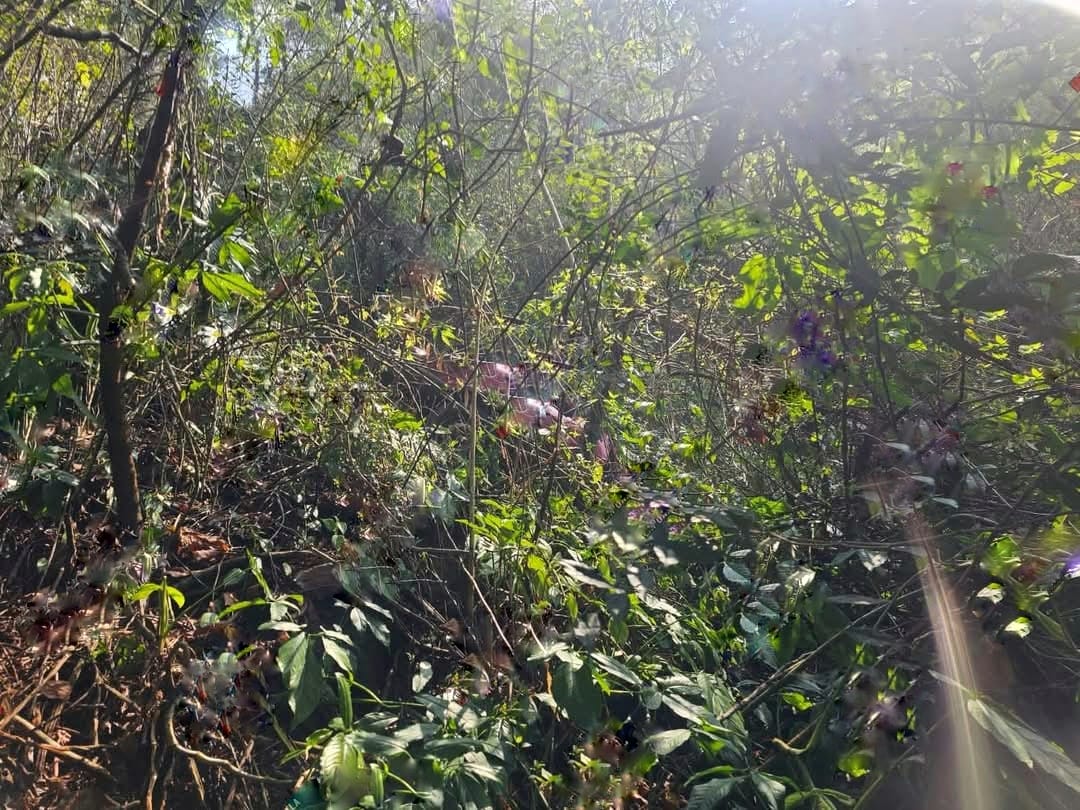 Auto se va a barranca y deja un muerto y un lesionado en Zapotitlán