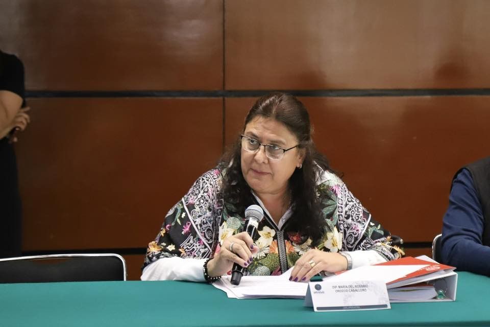 Participación del pueblo garantizará honestidad e independencia en el PJF: Rosario Orozco