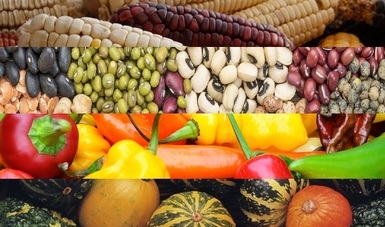 Conoce la saludable Dieta de la Milpa