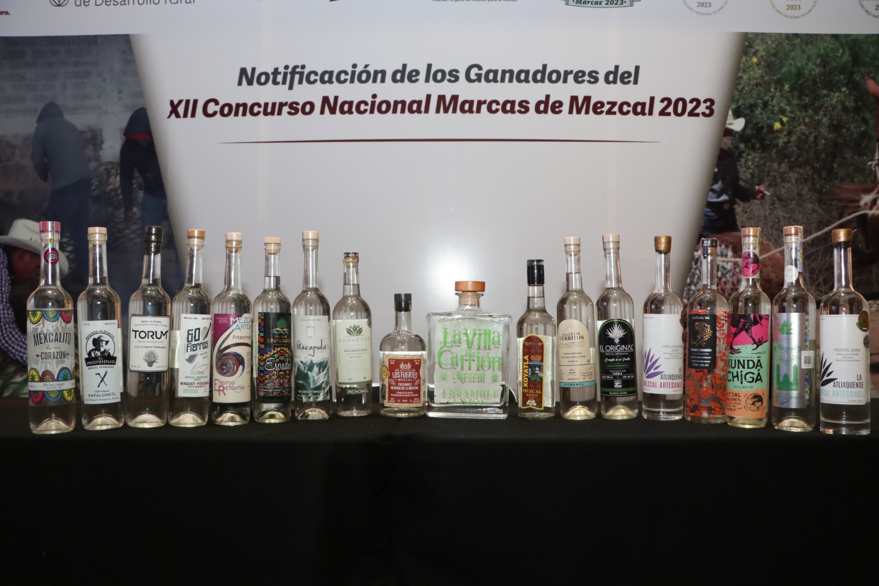 VIDEO Puebla cerraría el año con una producción superior a los 750 mil litros de mezcal