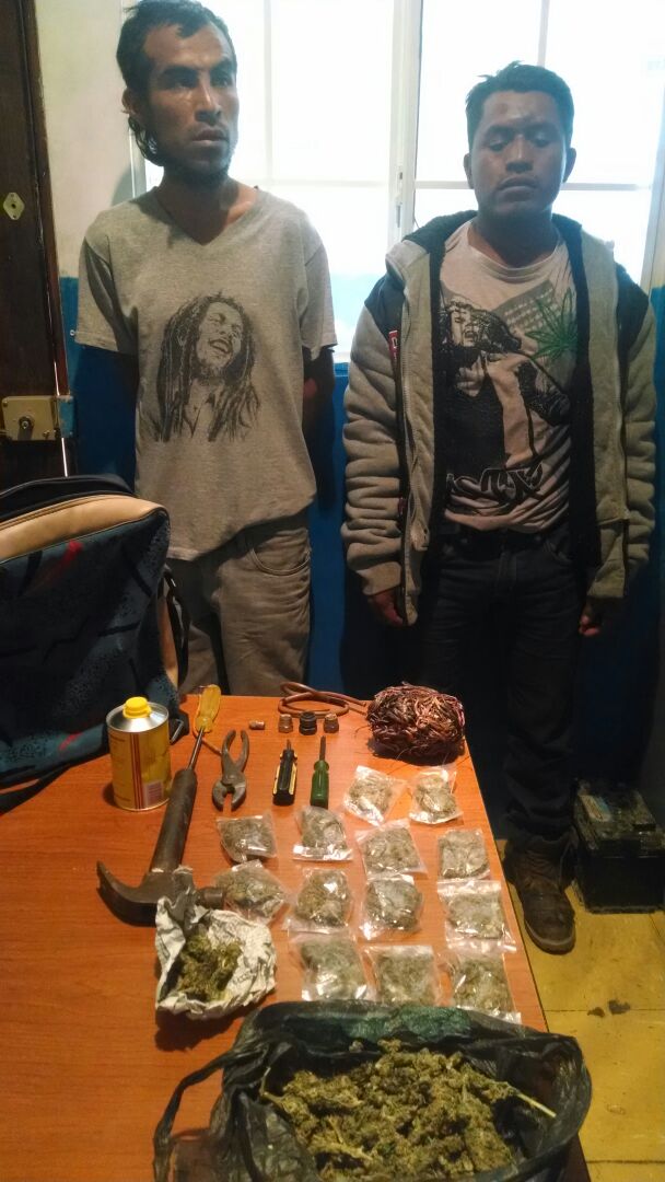 Detienen a dos personas por llevar marihuana escondida