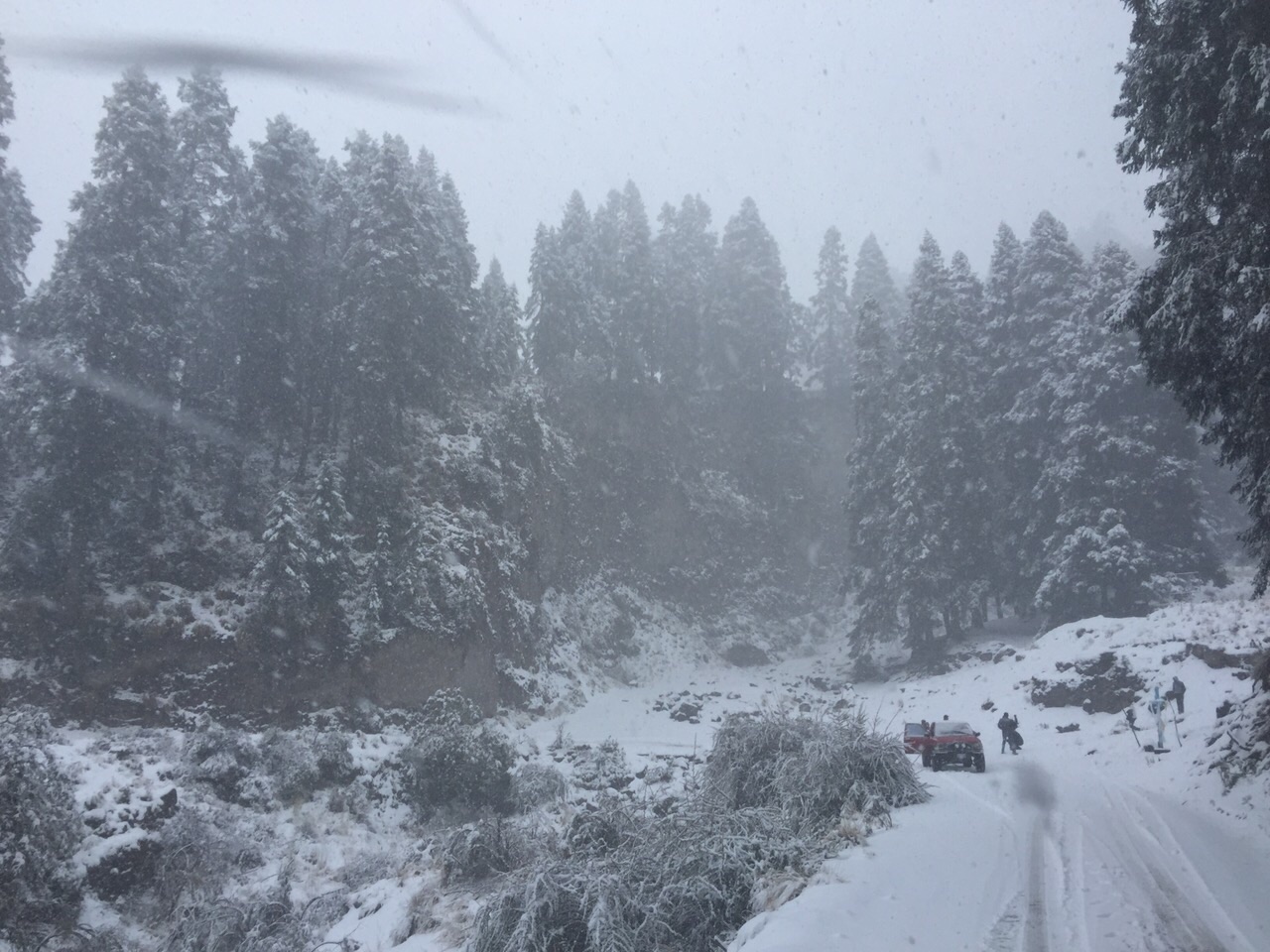 Nieva en Tlachichuca luego de 8 años; también en Río Frío  