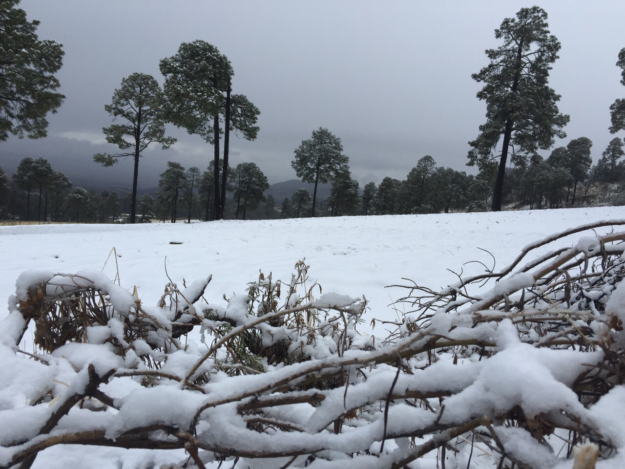 Nieva en Tlachichuca luego de 8 años; también en Río Frío  