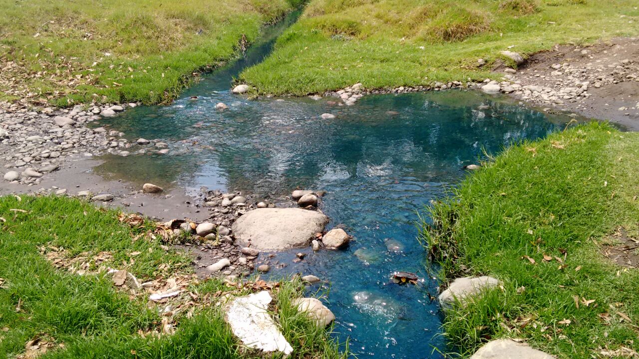 Manantiales de El Verde son contaminados por textilera