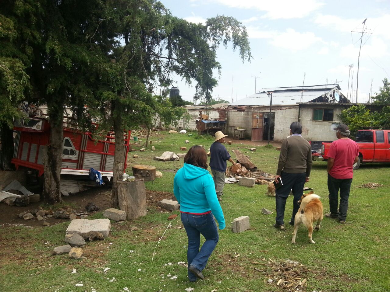 Deslave en Aljojuca arrastra 70 cabezas de ganado