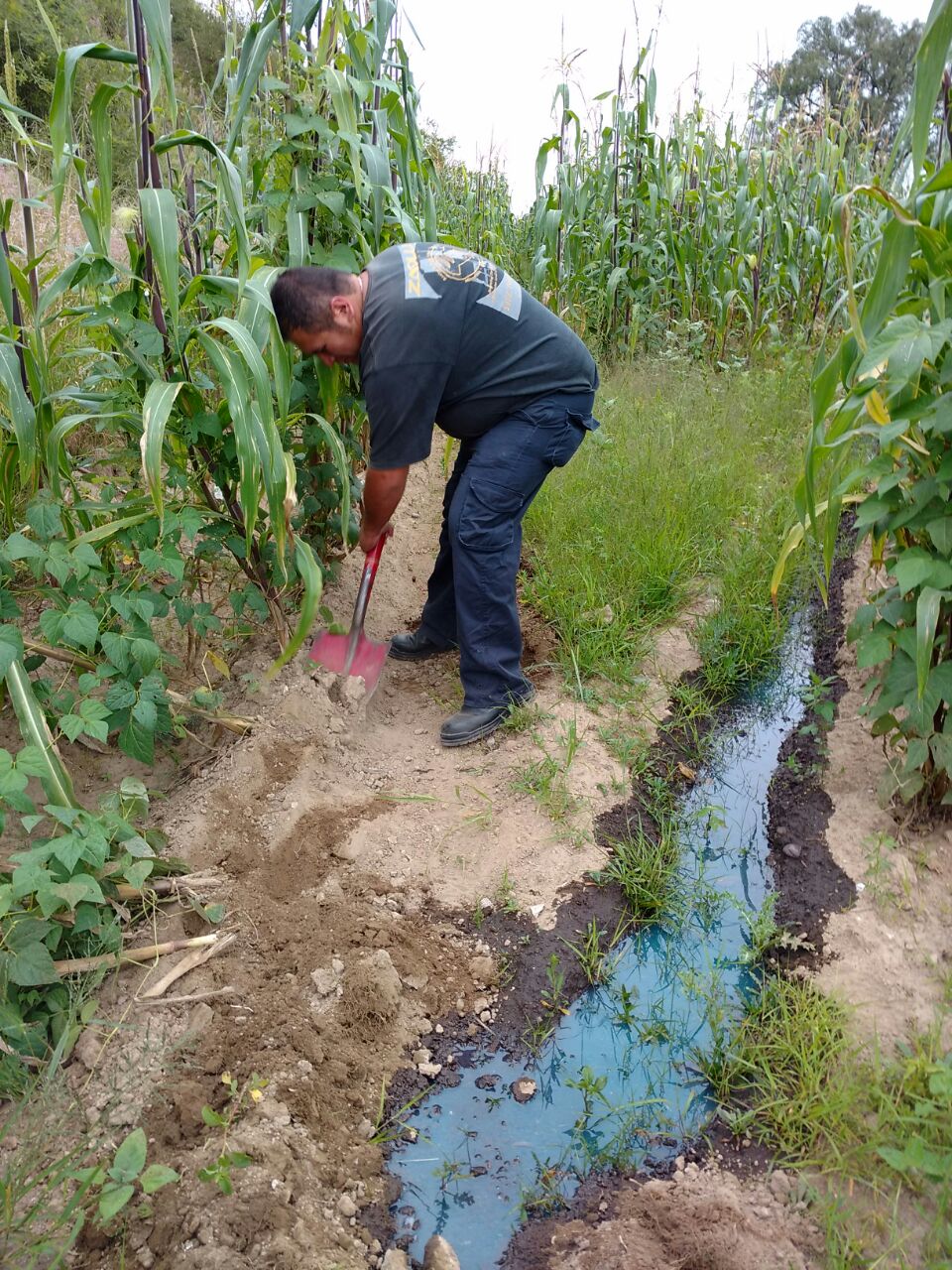 Fuga de 10 mil litros de combustible daña campos en Texmelucan