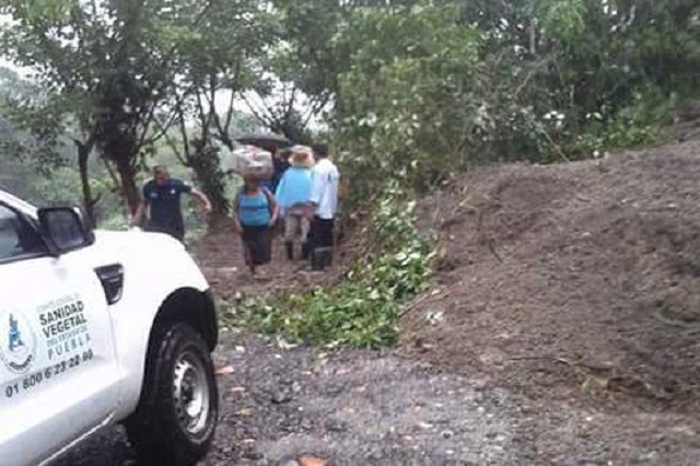Se inunda comunidad y colapsa puente en Tenampulco tras lluvias