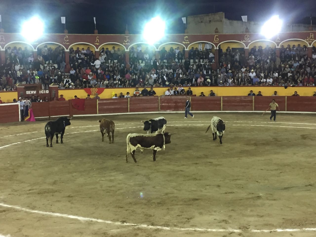 Edil avala corrida de toros en Miahuatlán; es tradición, afirma