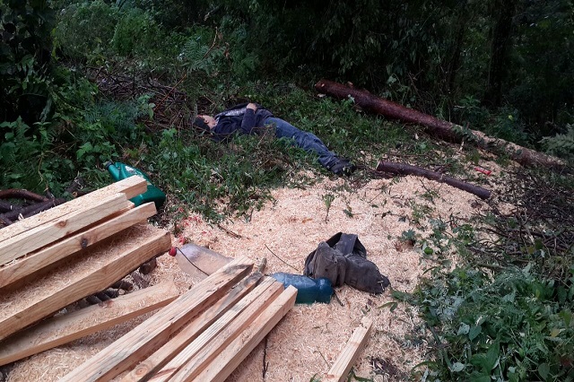 Aserrador es asesinado en zona boscosa de Huauchinango