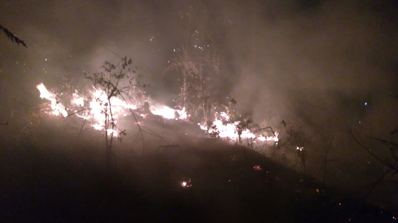 Descuido ocasiona incendio a orillas de la carretera México-Tuxpan