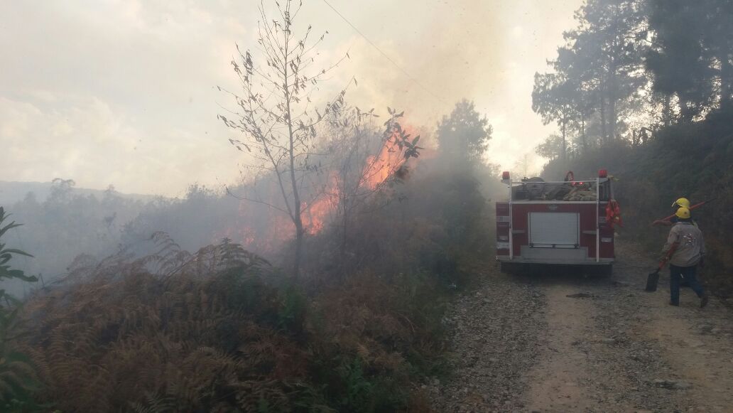 Llamas arrasan con 30 hectáreas de bosque en Huauchinango