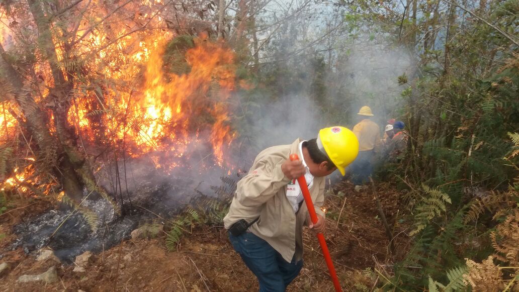 Sofocan incendio forestal en Molcaxac