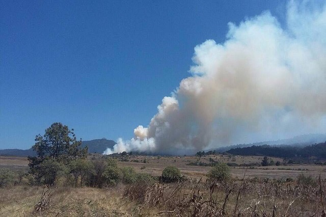 Incendio forestal afecta zona de la Calera en Chignahuapan