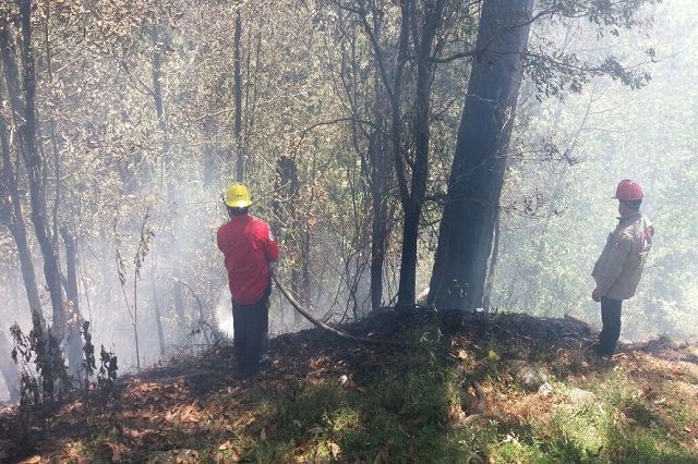 Fuego arrasa 5 hectáreas de bosque en Huauchinango