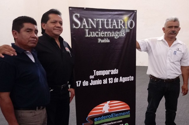 Promueven santuario de luciérnagas en San Salvador El Verde
