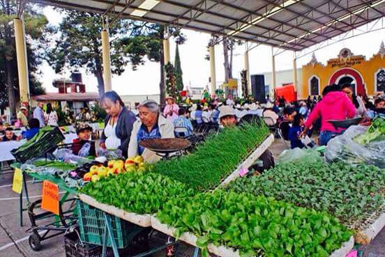 Productores organizan Feria de la Verdura en San Martín Tlamapa