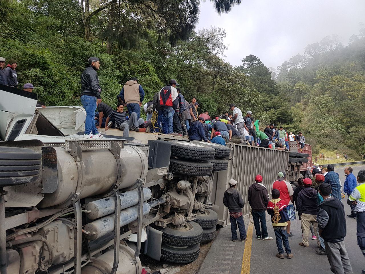 Roban y destazan reses tras volcadura en la Puebla-Orizaba