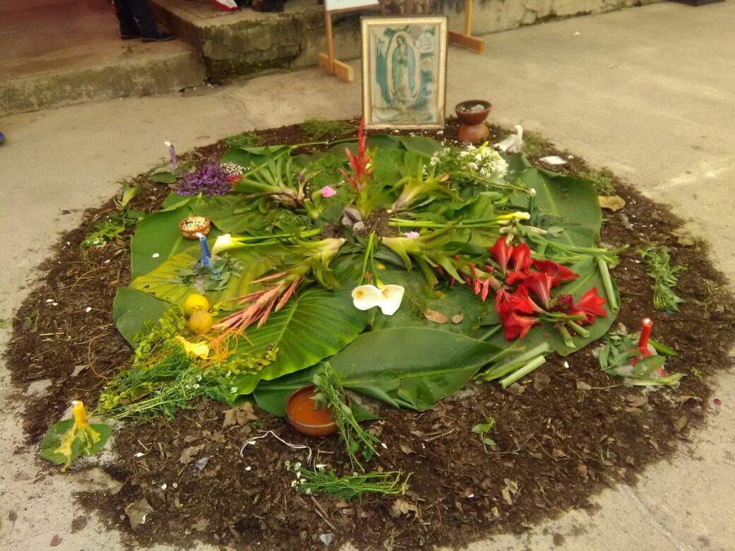 Realizan Festival de Medicina Tradicional en Zacapoaxtla