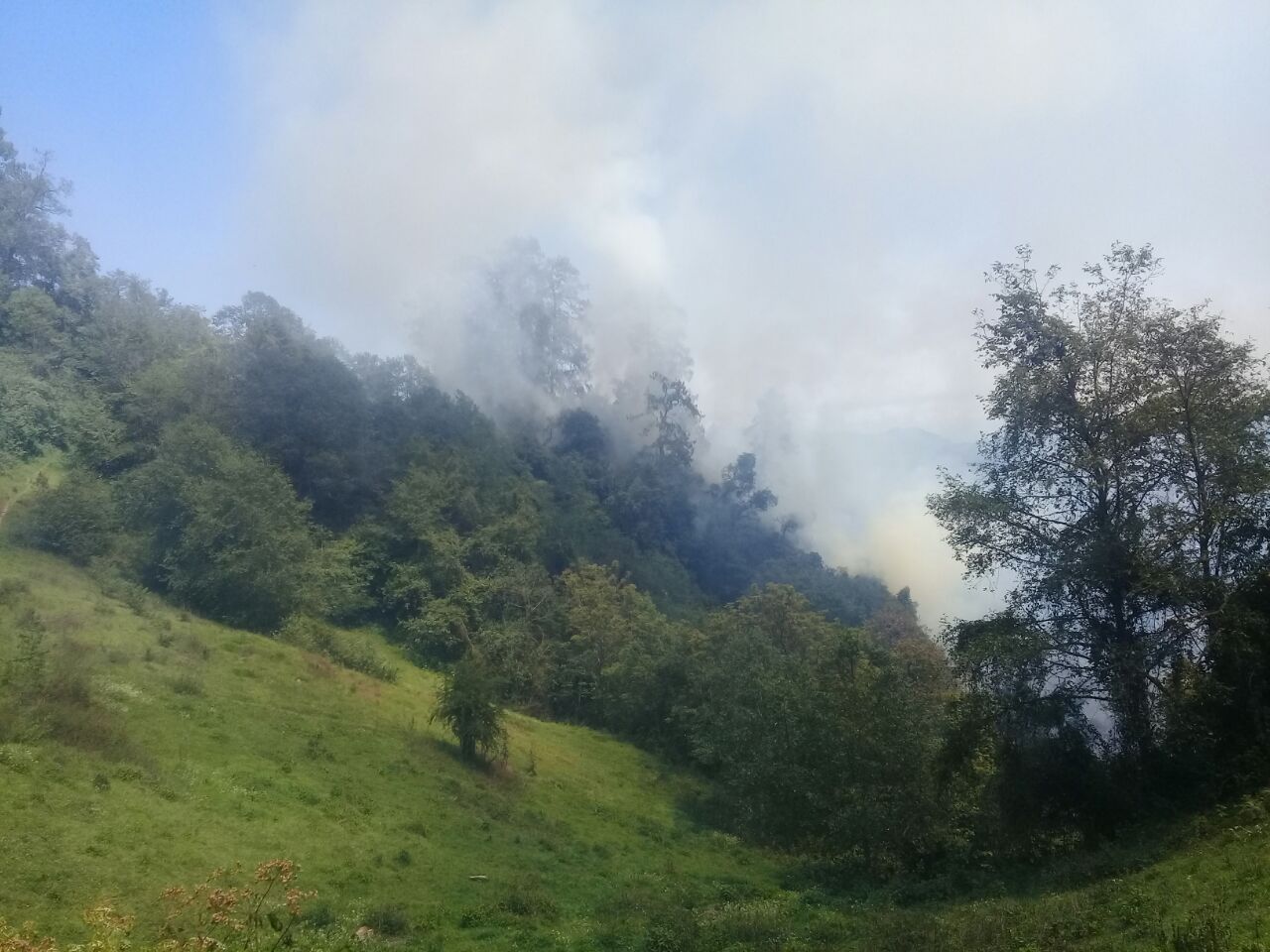 Incendio consume tres hectáreas de bosque en Zacapoaxtla