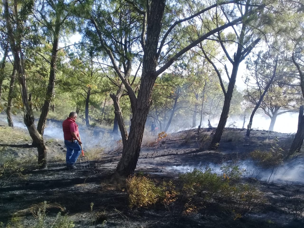 Provoca canícula incendios en valle del Citlaltépetl