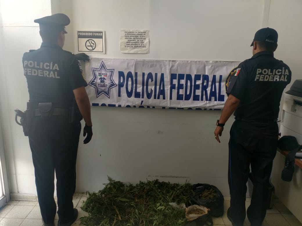 PF decomisa droga tras persecución en Xalmimilulco