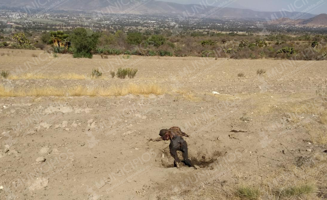 Encuentran cuerpo calcinado en Palmar de Bravo