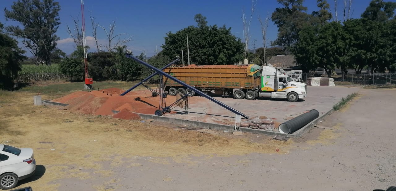 Inicia corte de sorgo en la región Izúcar 