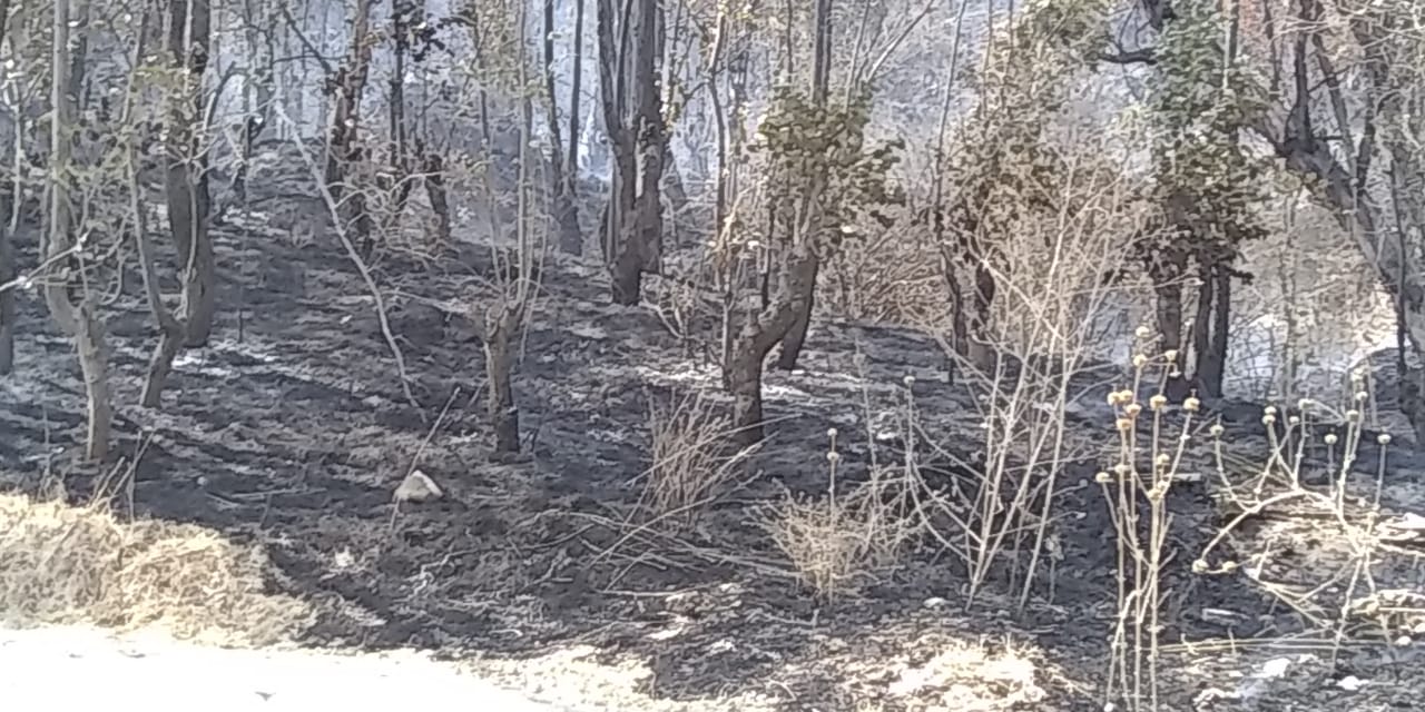 Incendio consume cerro de Texmelucan, piden ayuda a vecinos