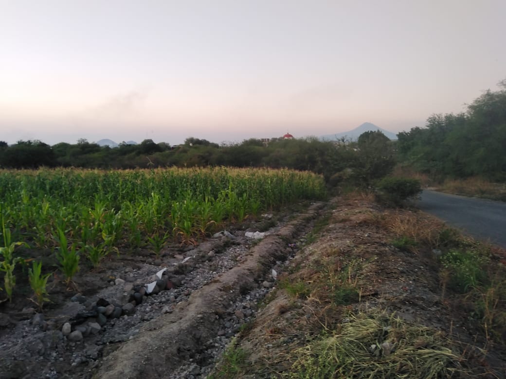 Productores de Chietla acusan que fueron olvidados en apoyos de fertilizantes