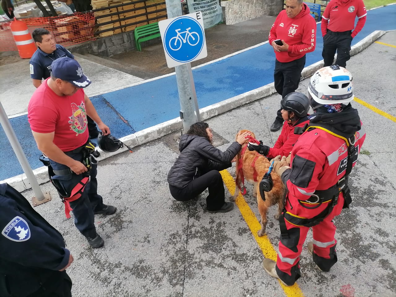 Rescatan a perrita que pasó la noche en un desagüe en Puebla