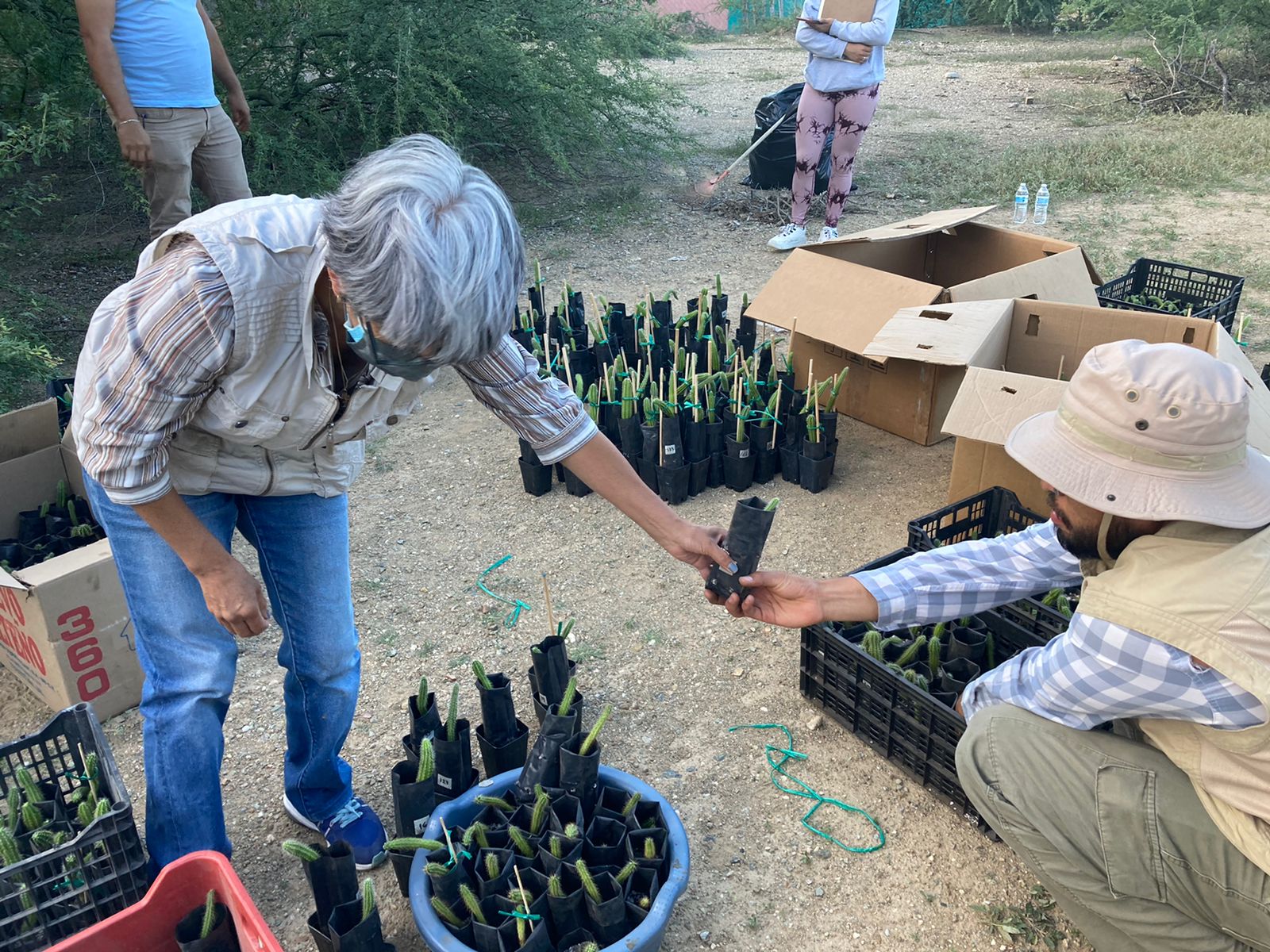 Cactáceas y aves son extraídas de la Reserva Tehuacán-Cuicatlán en Coxcatlán