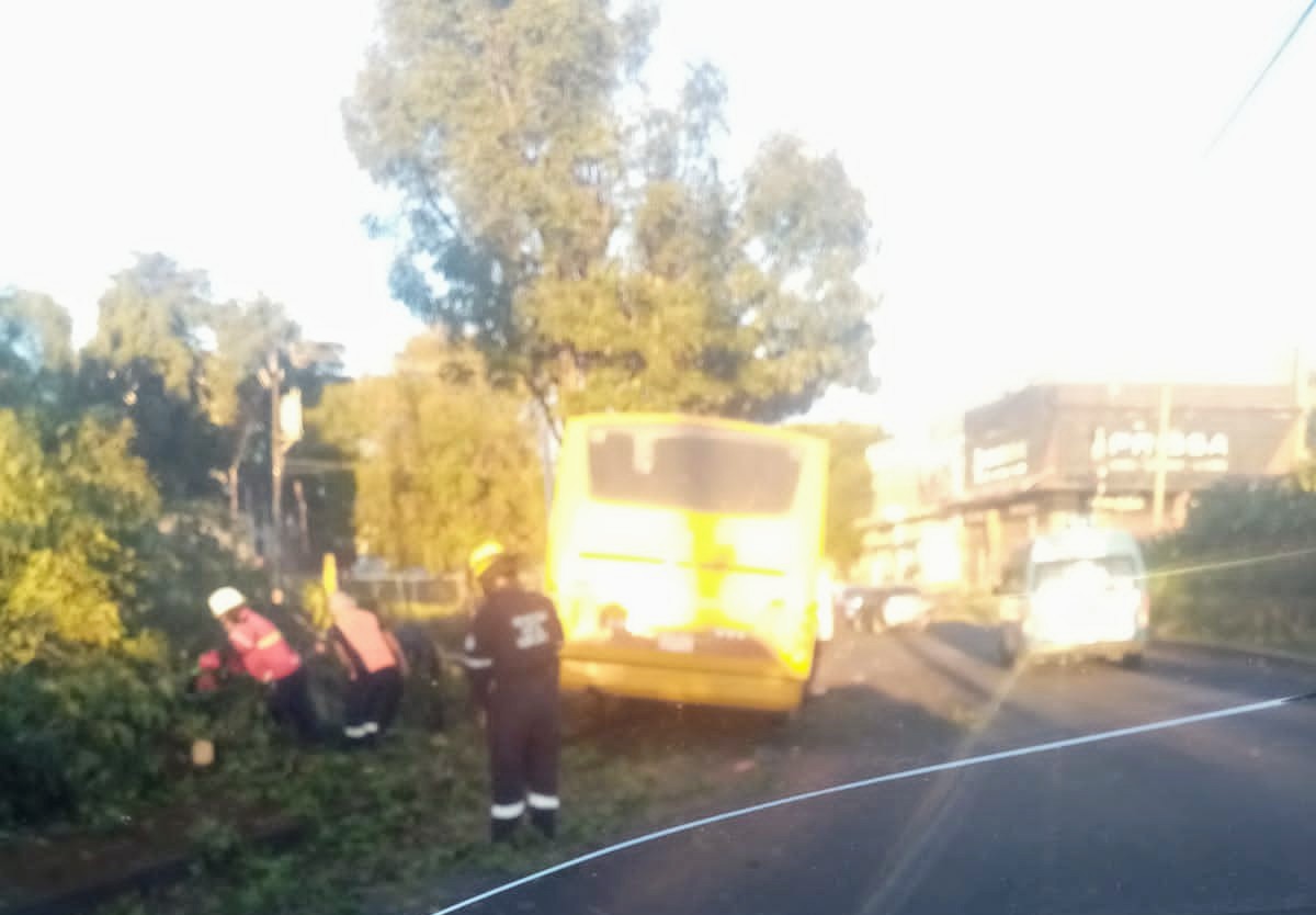 Ruta de los Amarillos choca contra poste en la Romero Vargas