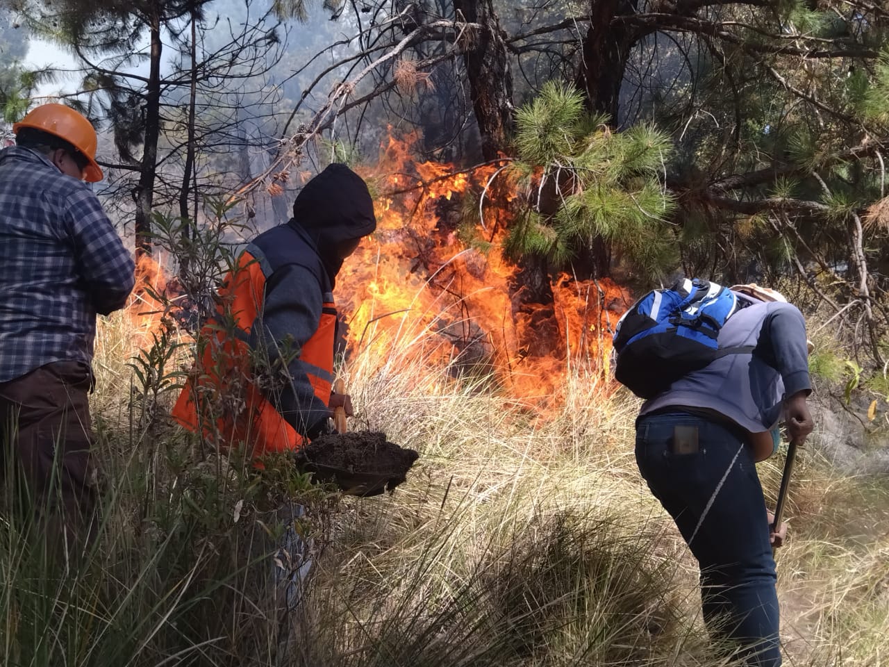 Brigadas forestales combaten un incendio en zona boscosa de Chiautzingo
