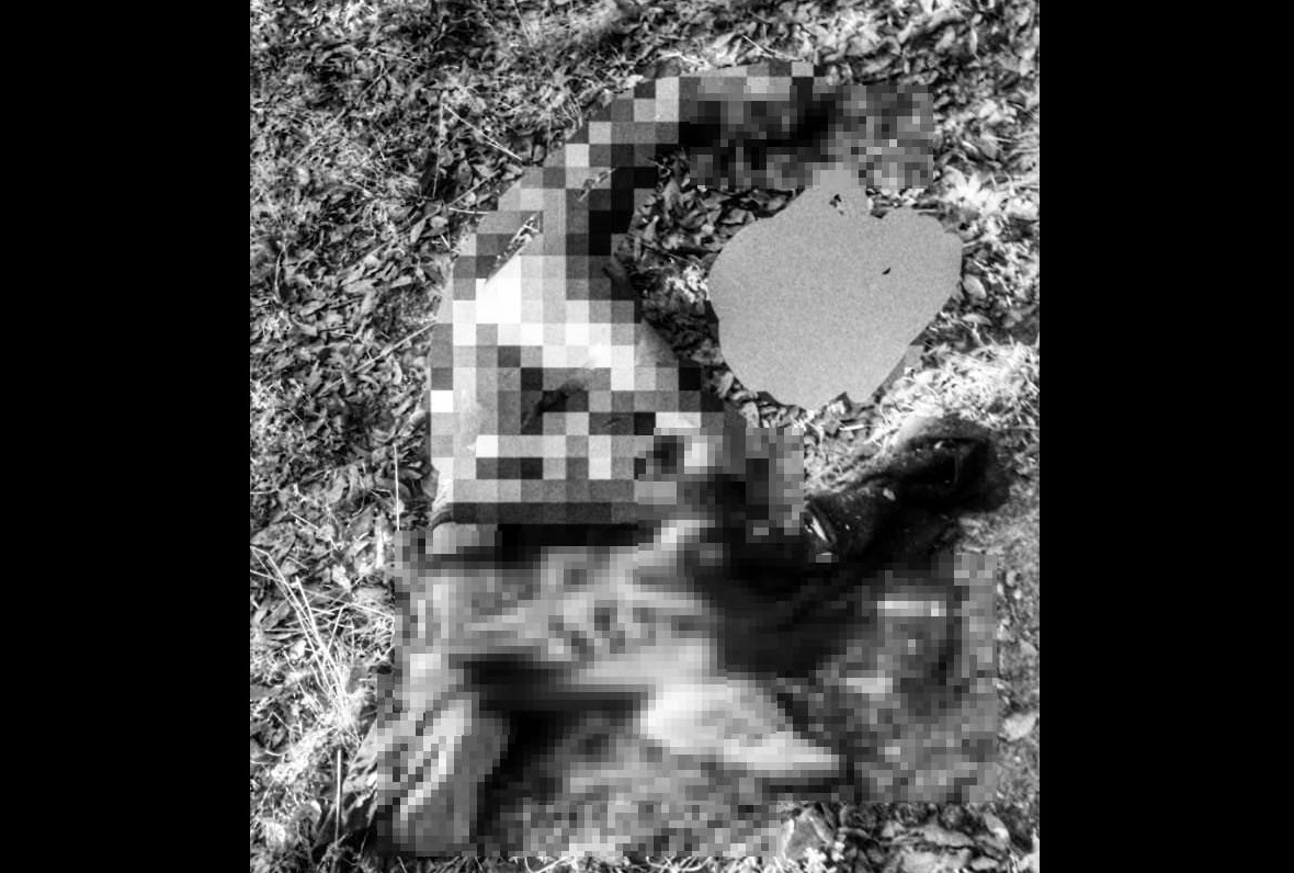 Semi devorado ubican cadáver en San Pablo del Monte