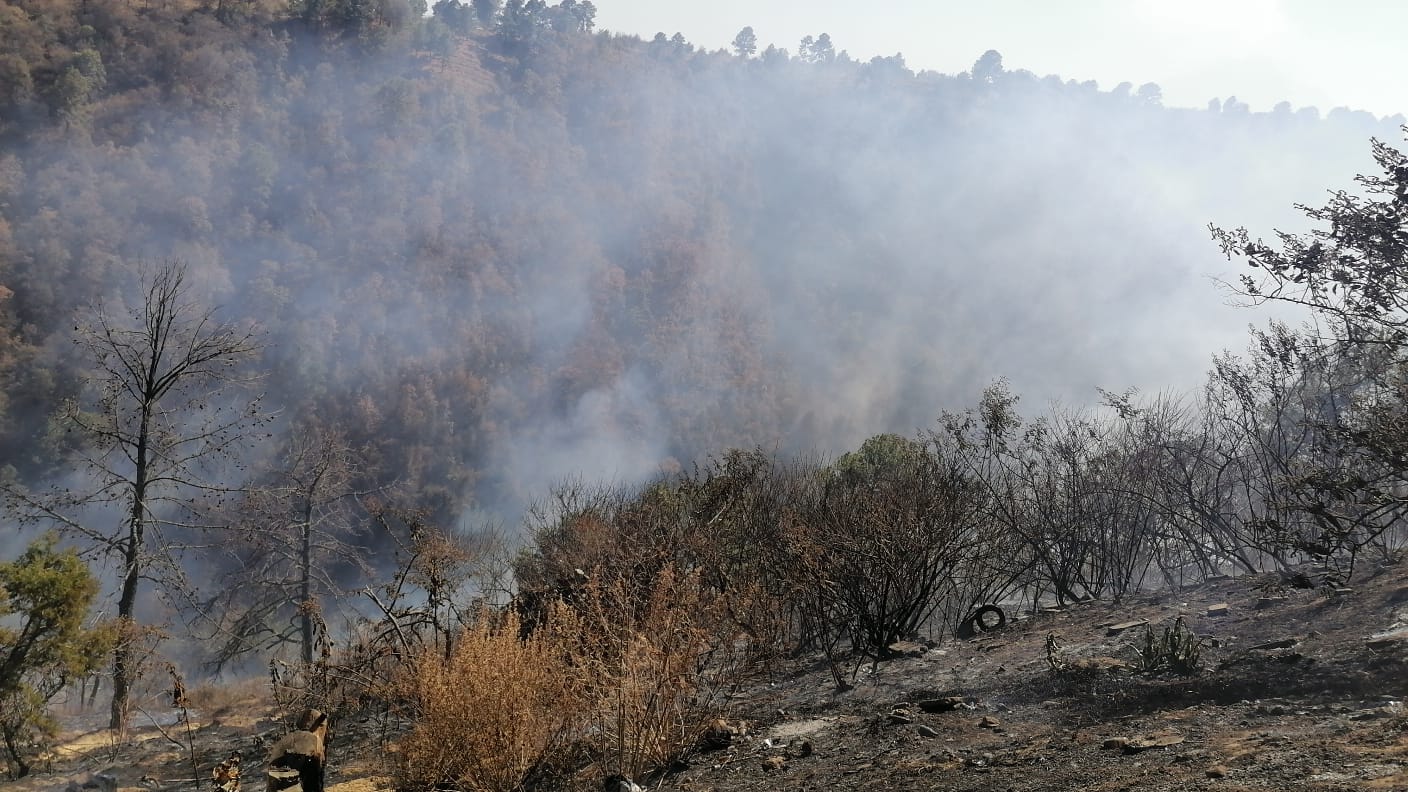 Protección Civil de Chiautzingo registra 16 incendios forestales