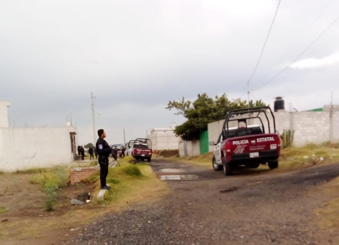 Policías ubican plantío de marihuana en El Verde
