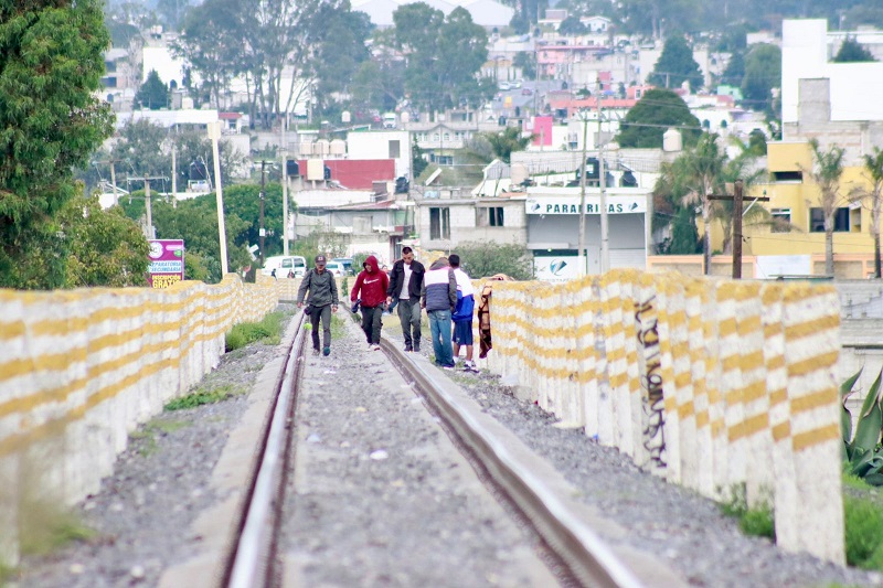 Ferromex frena operación de 60 trenes ante muertes de migrantes