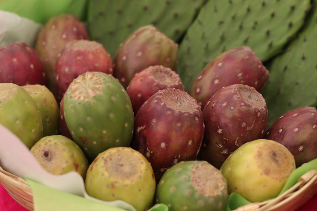 Alcanza Acatzingo exportación de nopal y tuna, reforzada comercialización: SDR