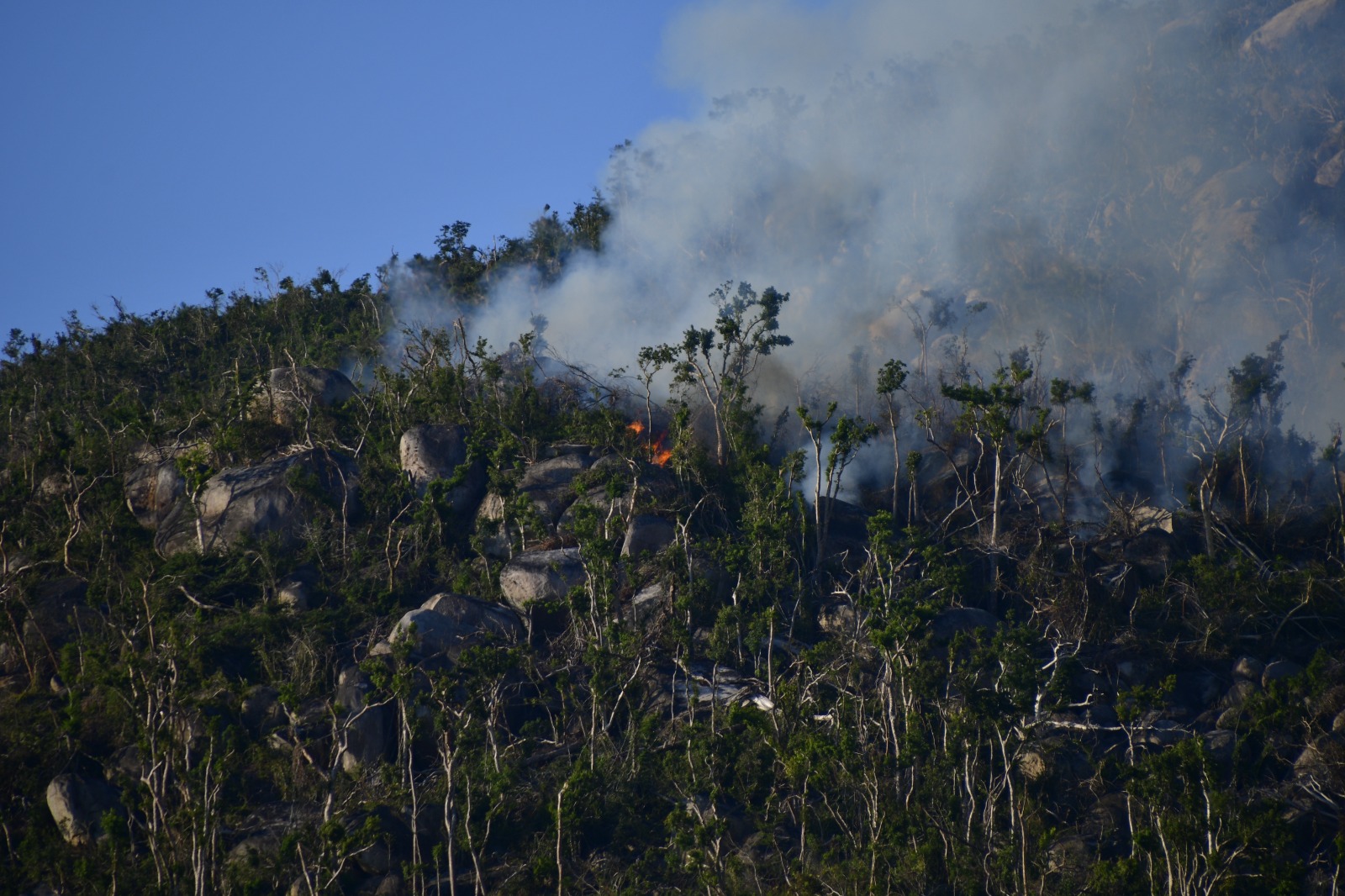 Cuatro voluntarios con quemaduras, deja incendio forestal en Tehuatzingo